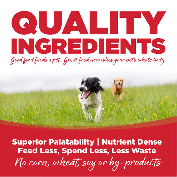 BUY Large Breed Beef & Rice Healthy Dog Food NutriSource Pet Foods