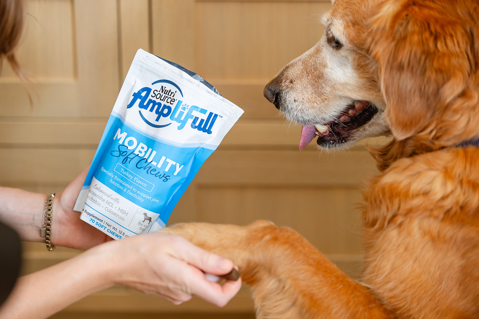 Supporting Your Dog's Joints: Supplements for Mobility and Comfort