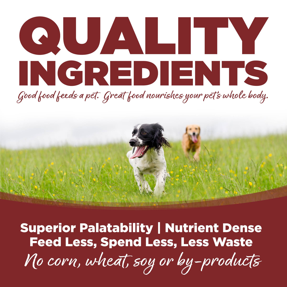 Quality Ingredients Ad