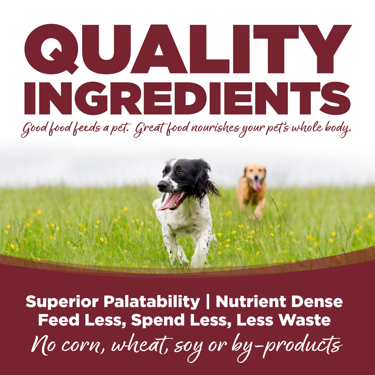 Quality ingredients ad