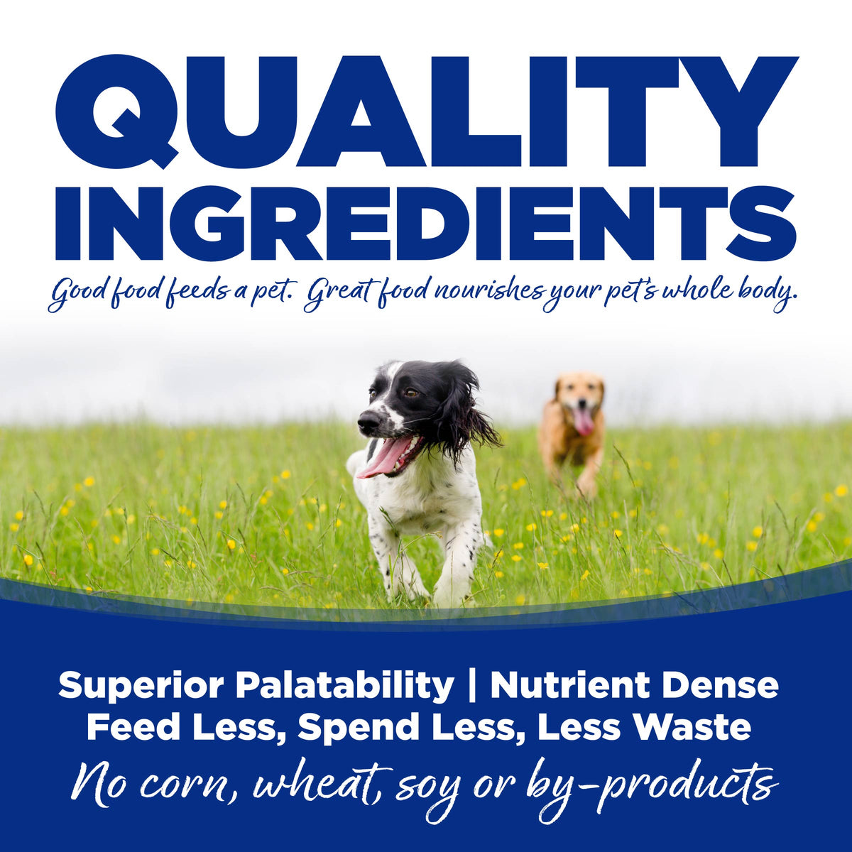 QUALITY INGREDIENTS Good food feeds a pet. great food nourishes your pet's whole body.

Superior Palatability | Nutrient Dense
Feed Less, Spend Less, Less Waste
no corn, wheat, soy or by-products