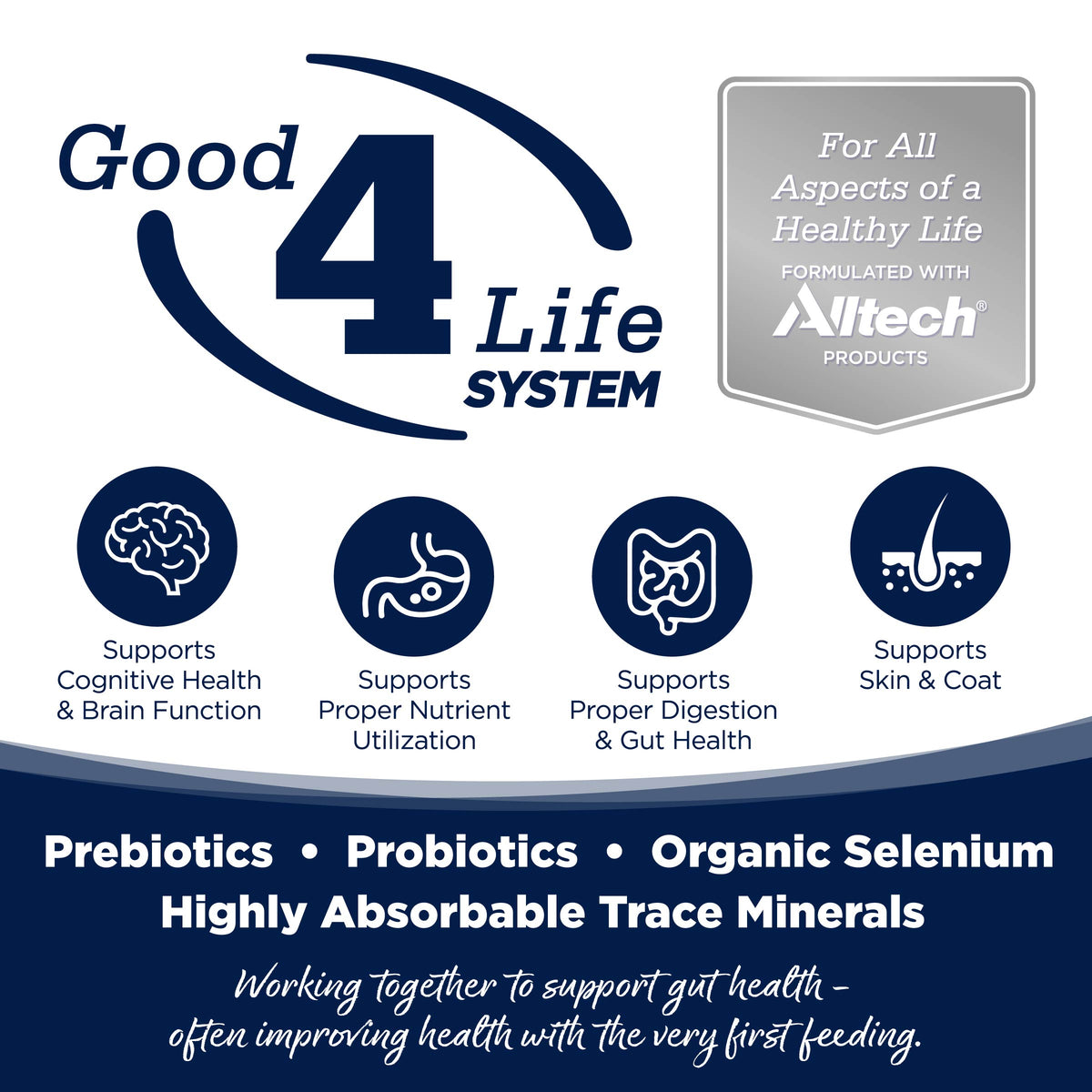Good 4 Life System Ad