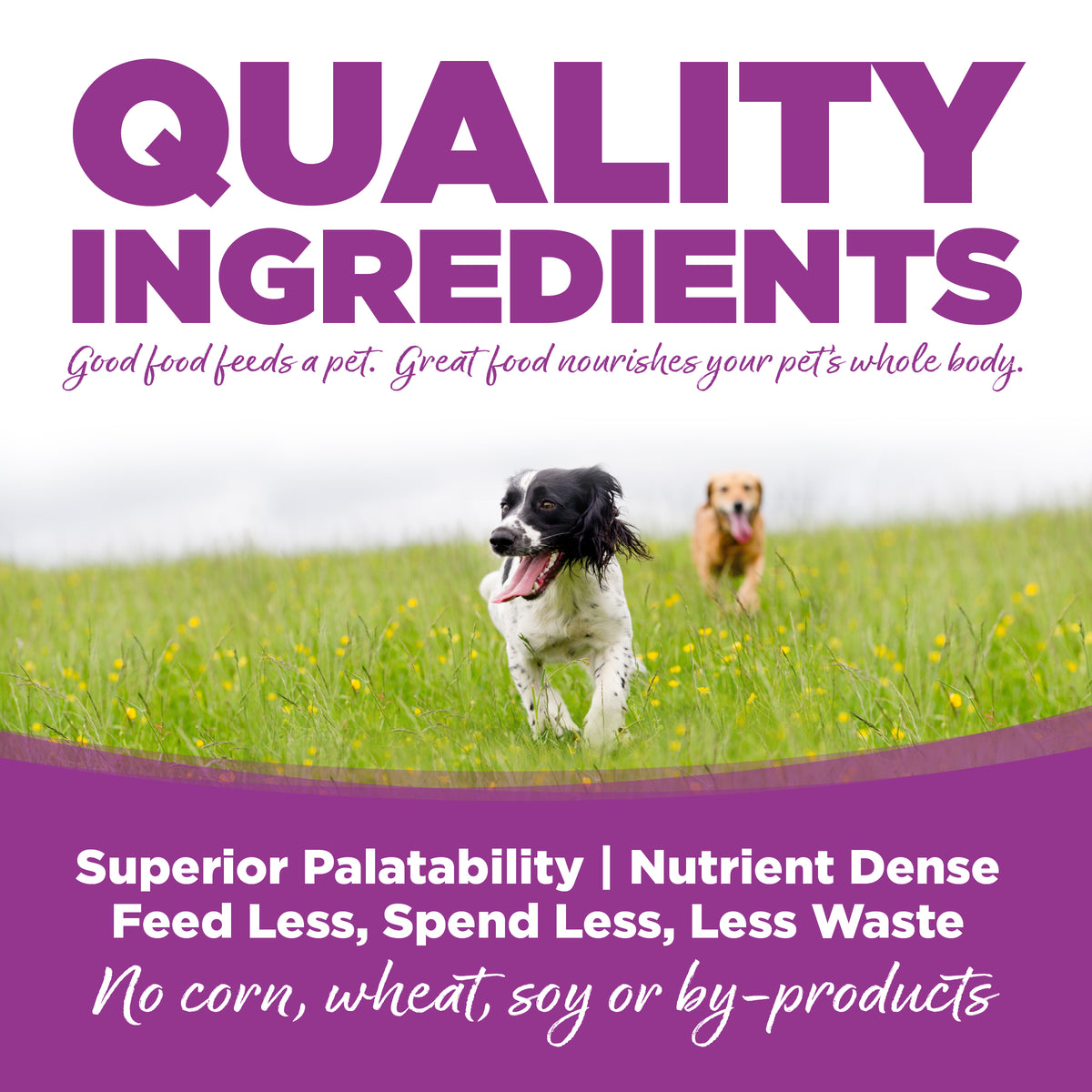 Quality Ingredients advertisement