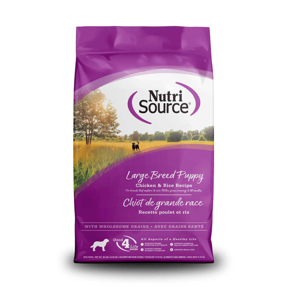 Large Breed Puppy Chicken & Rice Recipe - Front of Bag