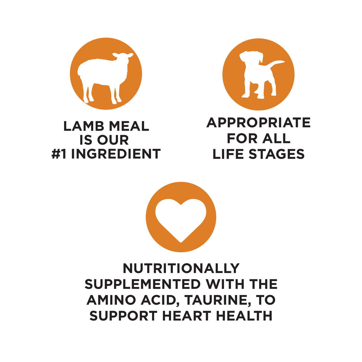 LAMB MEAL
IS OUR
#1 INGREDIENT

APPROPRIATE
FOR ALL
LIFE STAGES

NUTRITIONALLY
SUPPLEMENTED WITH THE
AMINO ACID, TAURINE, TO
SUPPORT HEART HEALTH