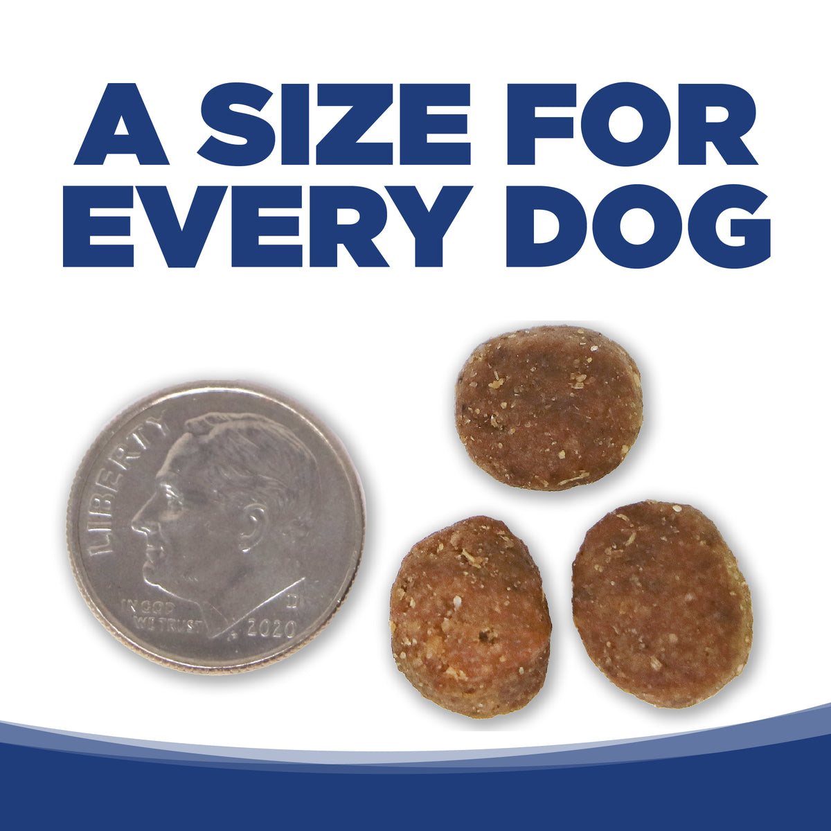 Image of kibble. 3 pieces smaller than dime