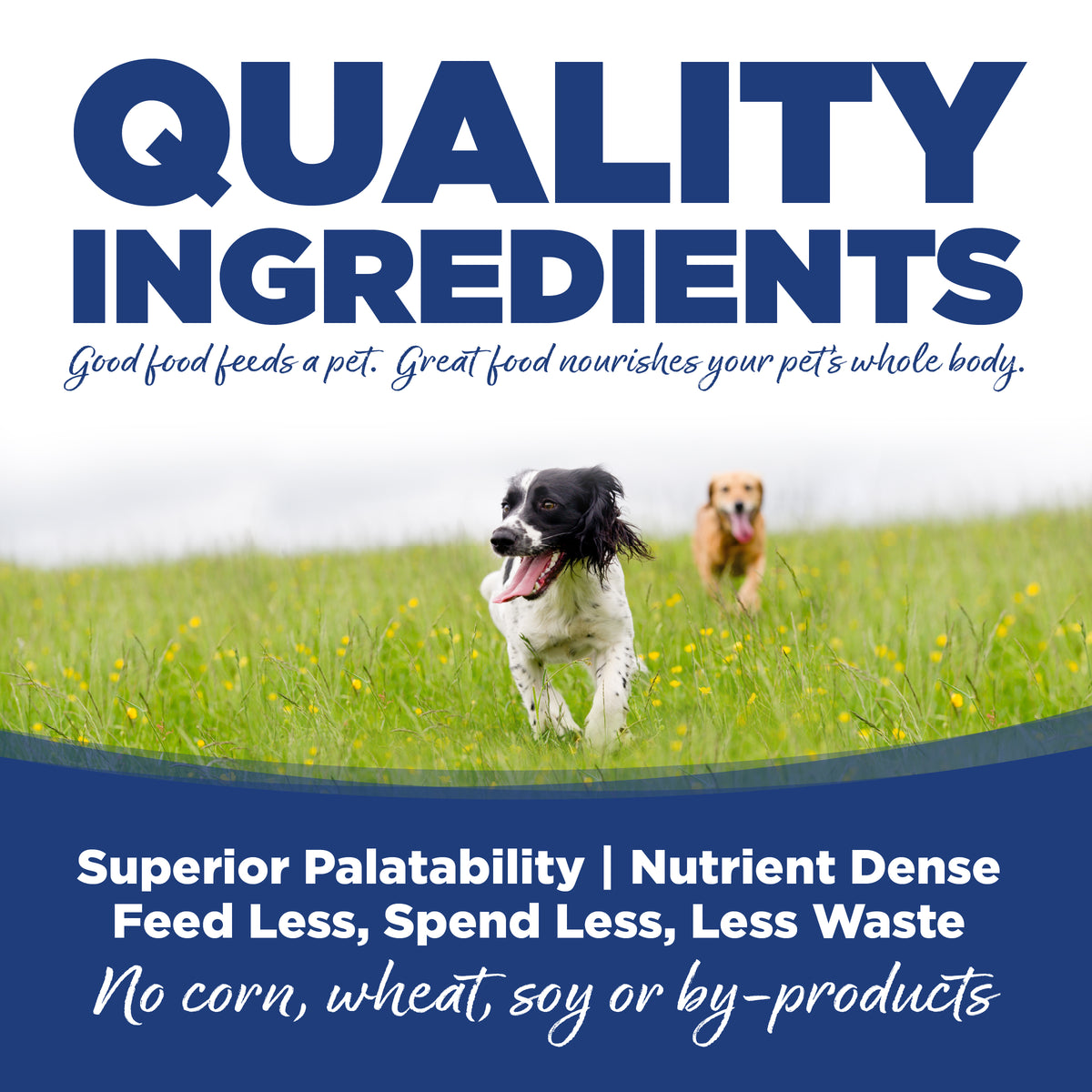 Quality ingredients ad