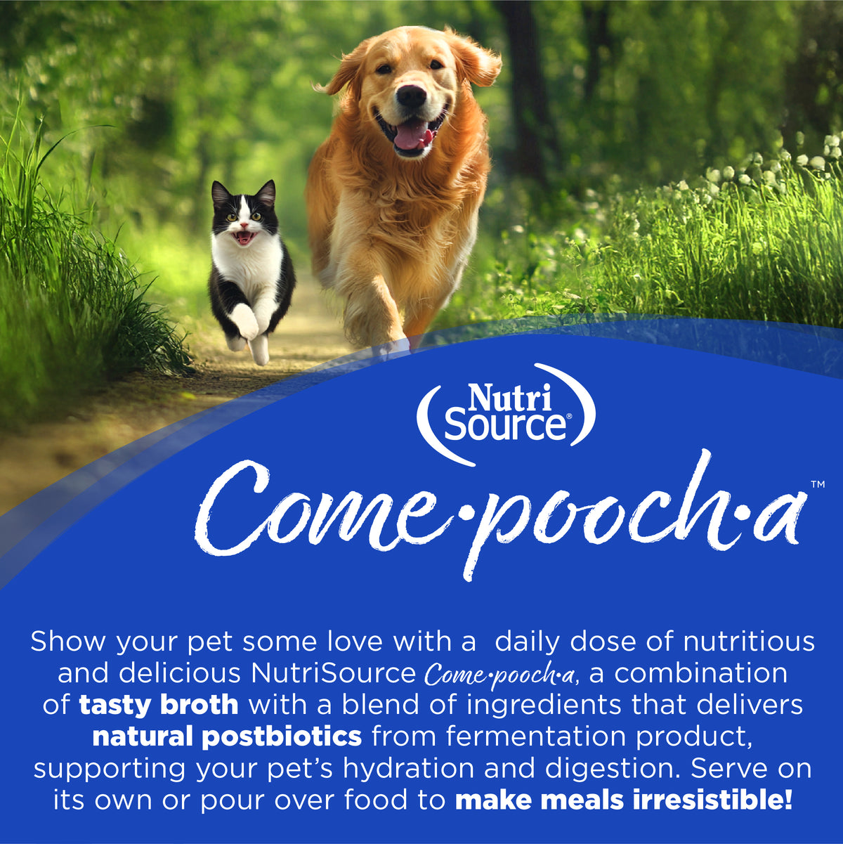 Show your pet some love with a daily dose of nutritious
and delicious NutriSource Come.poocha, a combination
of tasty broth with a blend of ingredients that delivers
natural postbiotics from fermentation product,
supporting your pet's hydration and digestion. Serve on
its own or pour over food to make meals irresistible!