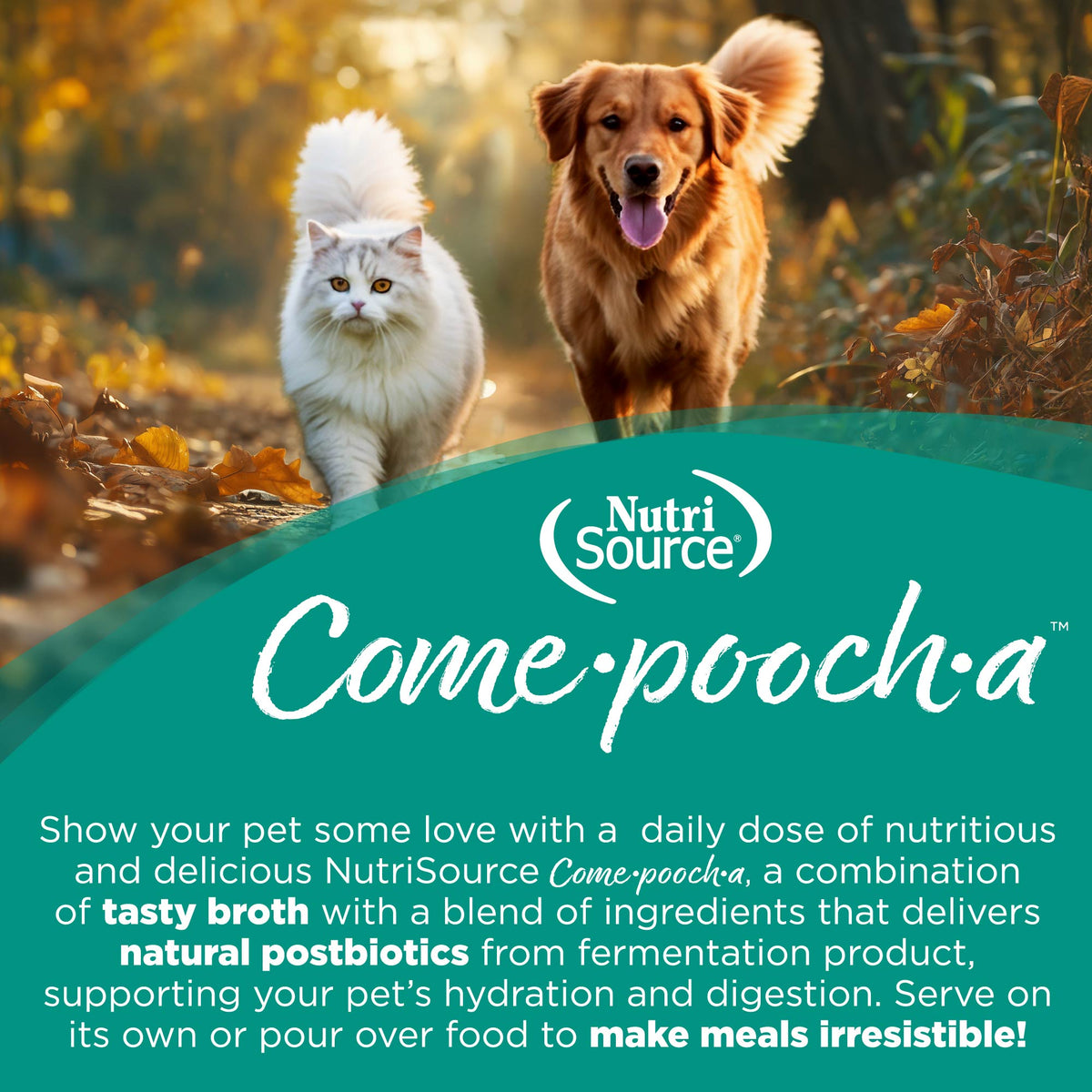Show your pet some love with a daily dose of nutritious
and delicious NutriSource Come.poocha, a combination
of tasty broth with a blend of ingredients that delivers
natural postbiotics from fermentation product,
supporting your pet's hydration and digestion. Serve on
its own or pour over food to make meals irresistible!