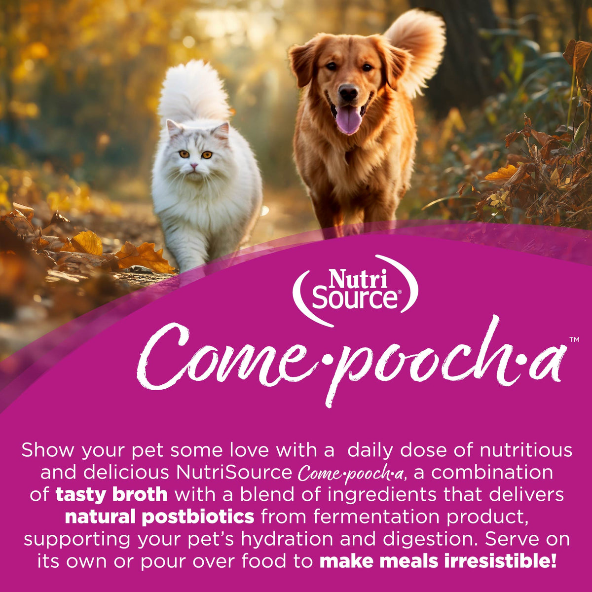 Show your pet some love with a daily dose of nutritious
and delicious NutriSource Come.pooch.a, a combination
of tasty broth with a blend of ingredients that delivers
natural postbiotics from fermentation product,
supporting your pet's hydration and digestion. Serve on
its own or pour over food to make meals irresistible!