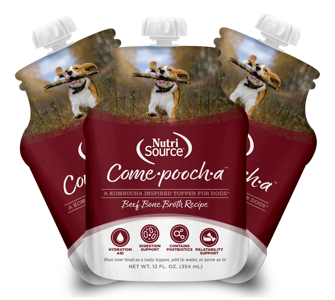 3-Pack Beef Bone Broth Recipe Come·pooch·a