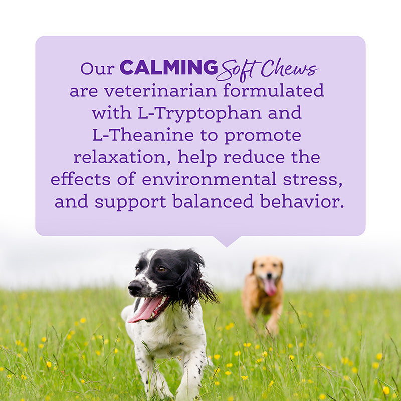 Our CALMING Soft Chews are veterinarian formulated.