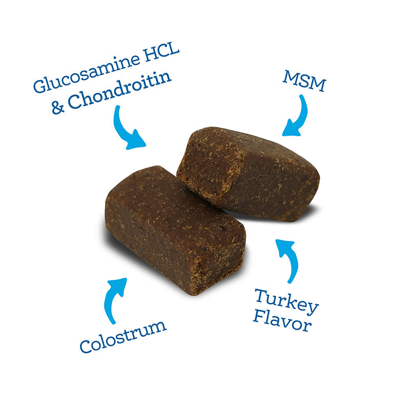 Glucosamine HCL & Chondroitin, MSM, Colostrum, and Turkey Flavor