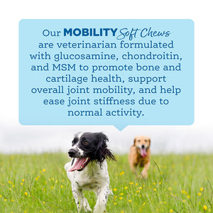 Our Mobility Soft Chews are veterinarian formulated.