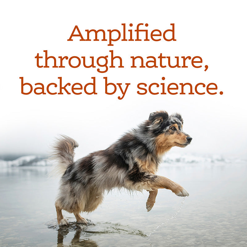 Amplified through nature, backed by science.