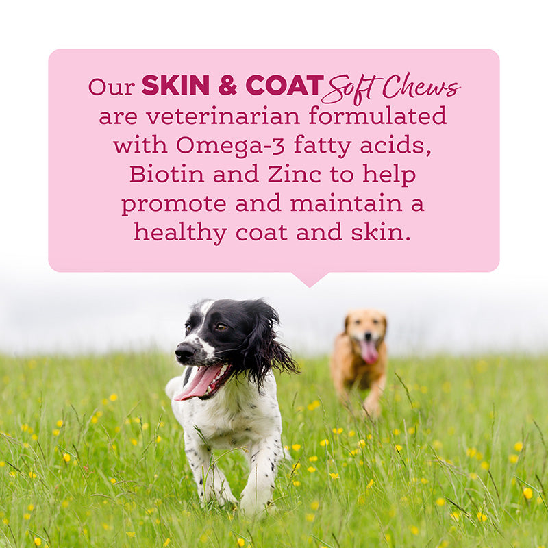 Our Skin & Coat Soft Chews are veterinarian formulated.