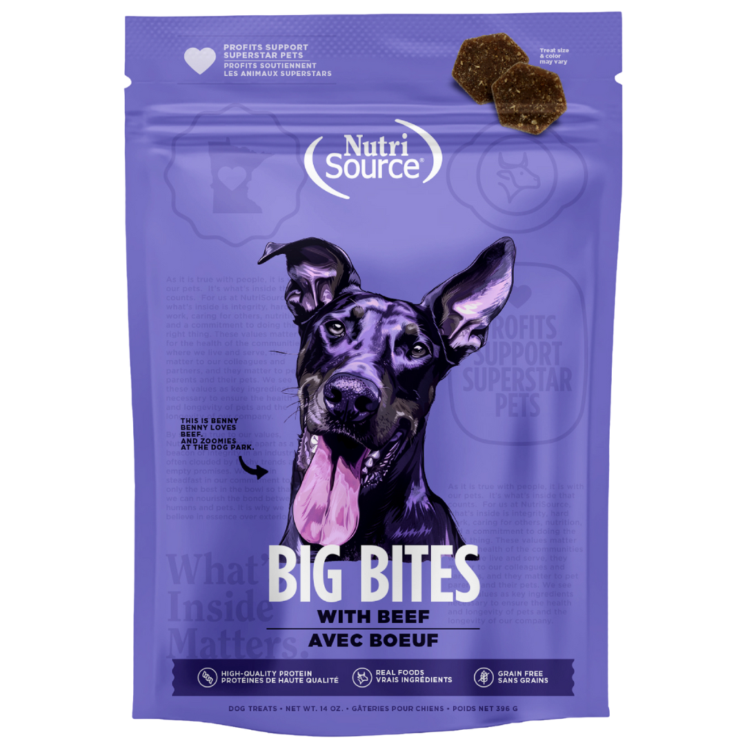 A package of NutriSource Grain Free Beef Big Bites dog treats with an image of a dog on the front.
