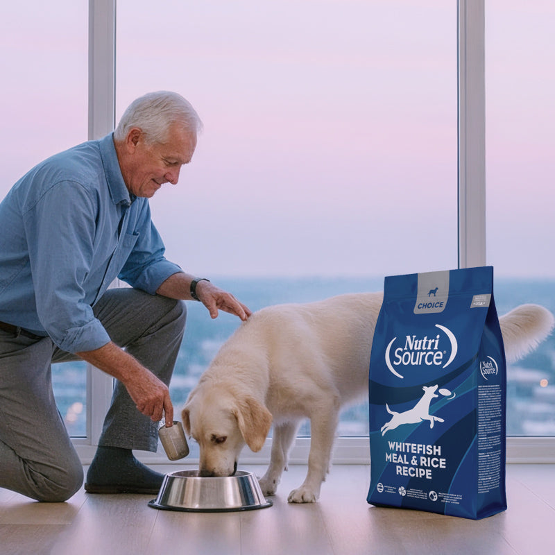 Man feeding a dog from a bowl with a NutriSource® bag in the foreground