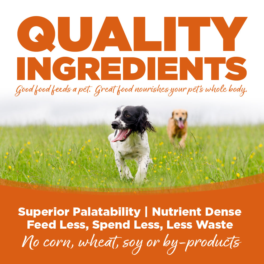 BUY Turkey & Barley Wet (Canned) Dog Food | NutriSource Choice