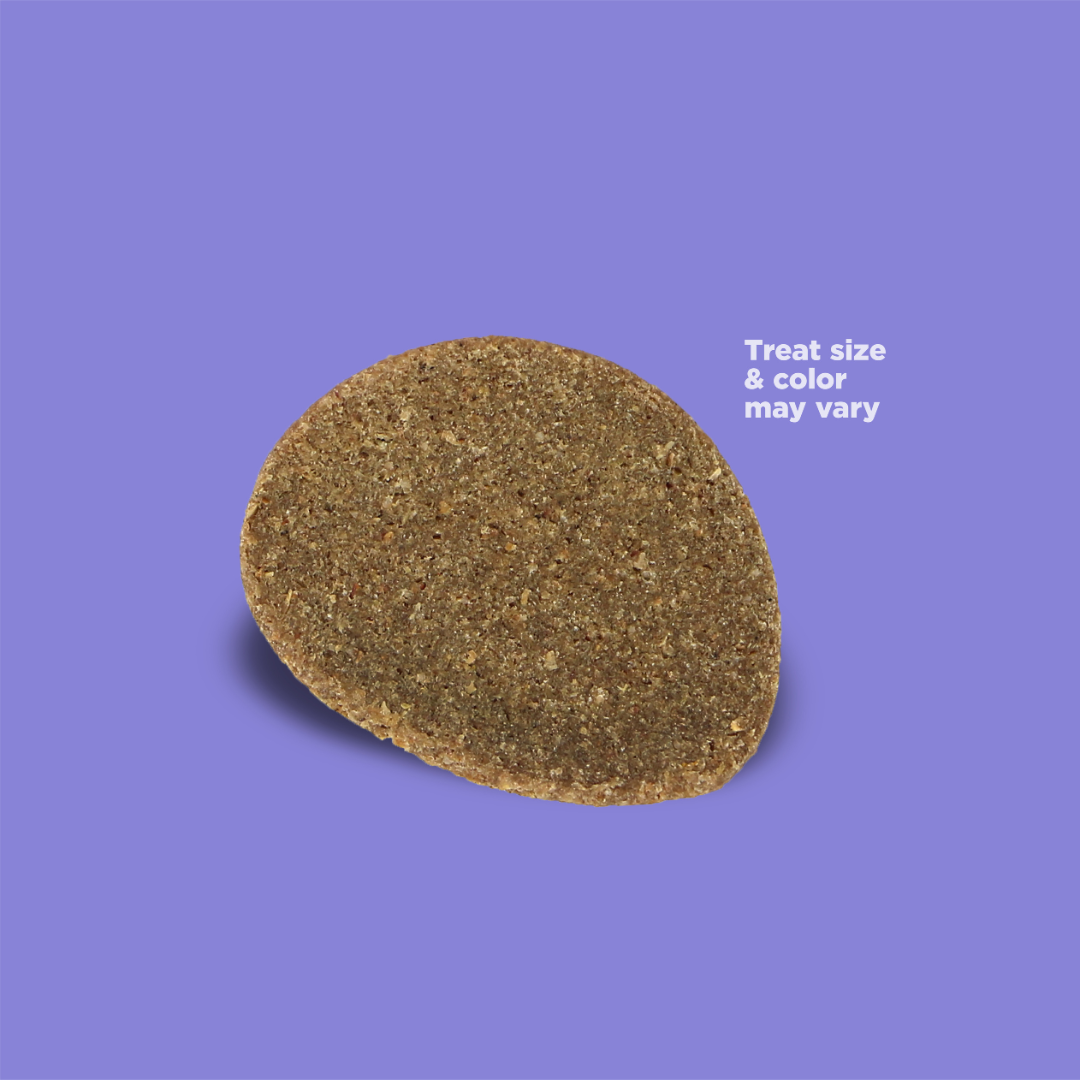 Photo of a Crispy Crisper treat with text that reads "Treat size & color may vary"
