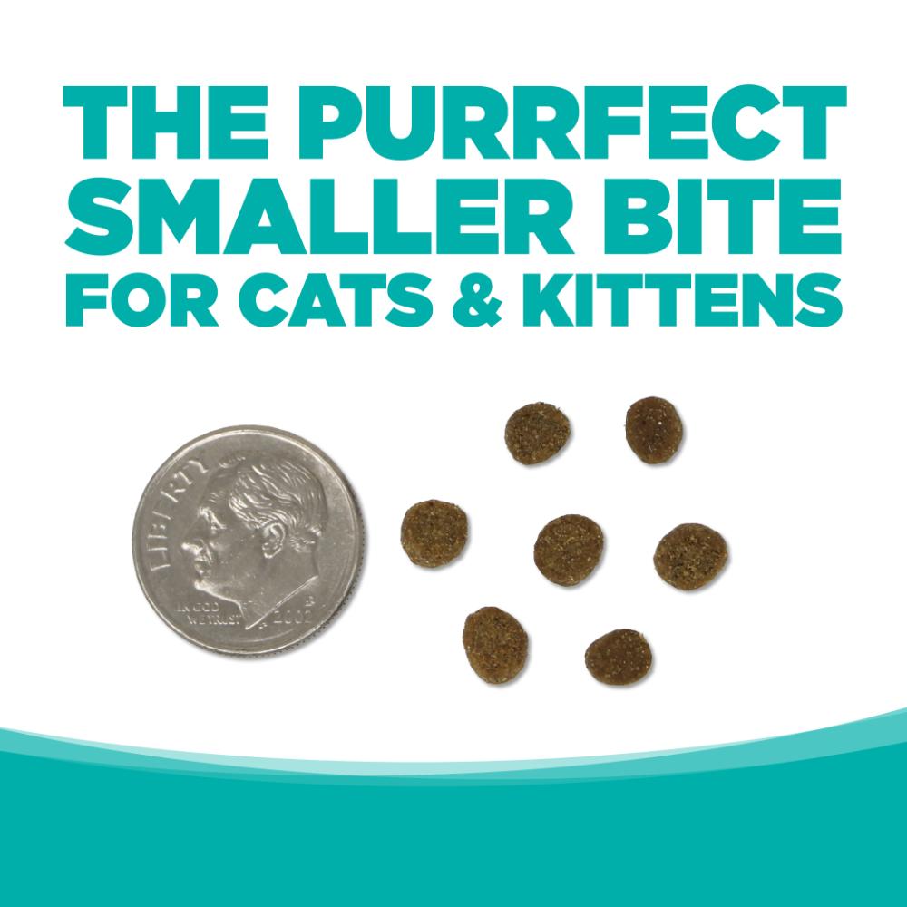 THE PURRFECT SMALLER BITE FOR CATS & KITTENS