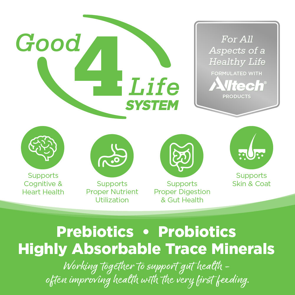 Good4Life System - Prebiotics, Probiotics, Highly Absorbable Trace Minerals