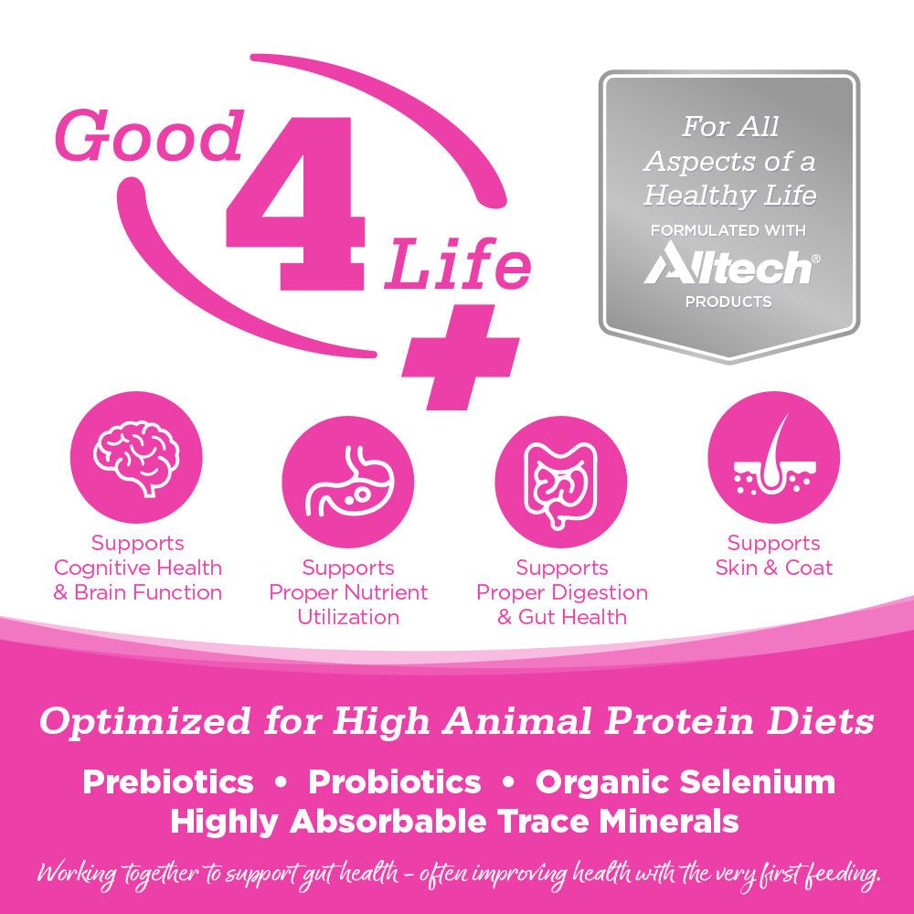 Advertisement for 'Good 4 Life' product with Altech branding and health benefits listed.