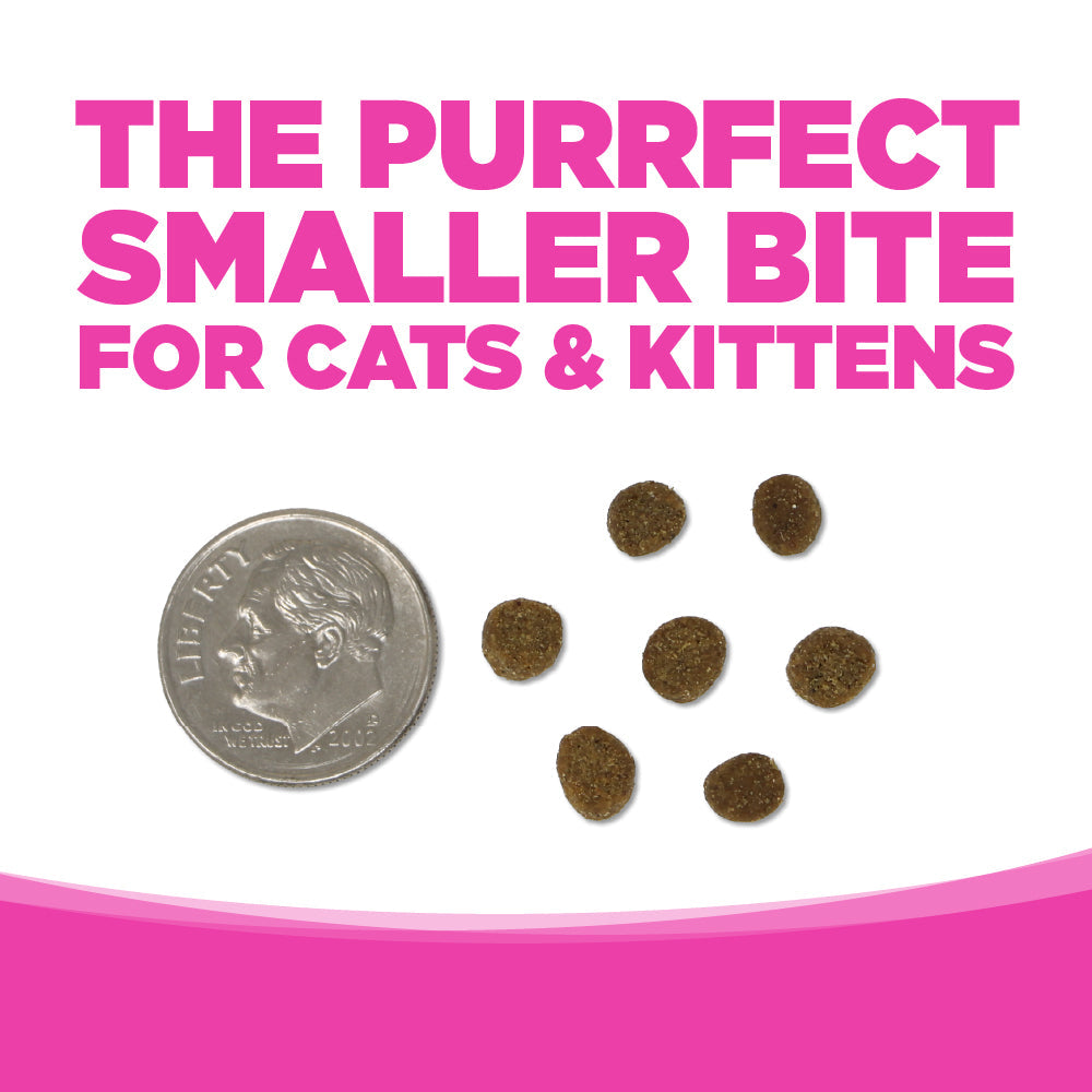 Cat food kibble pieces next to a dime on a white background with pink text.