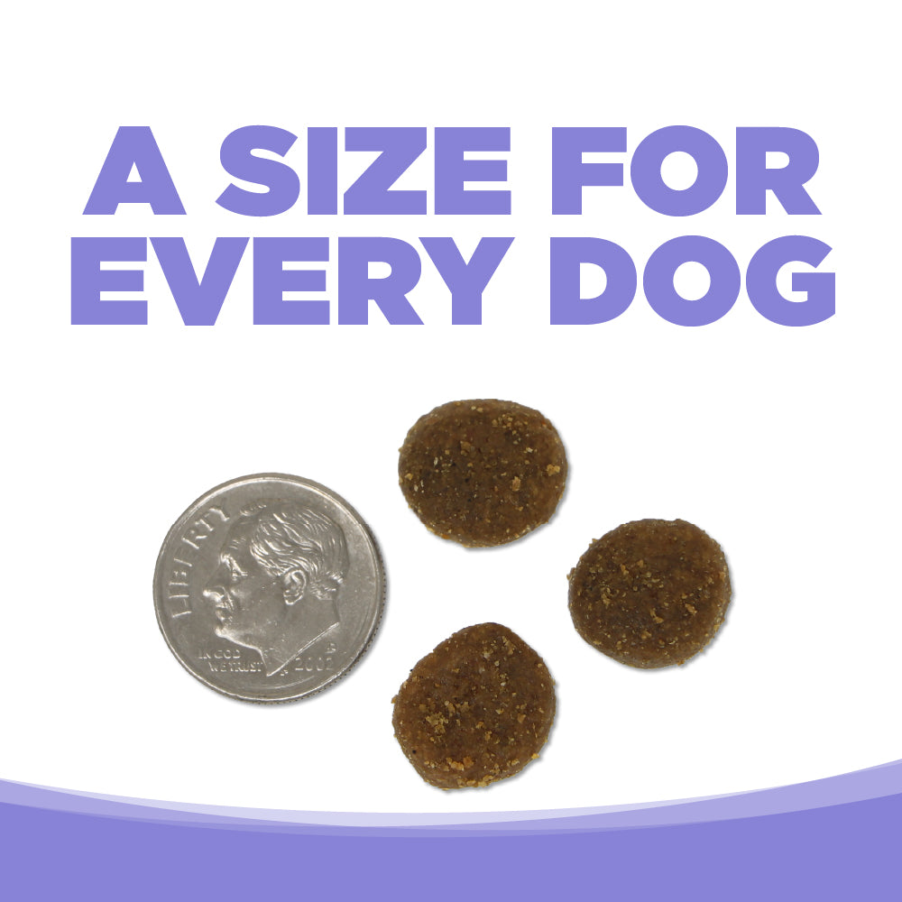 Dog treats next to a dime on a white background with text 'A Size for Every Dog'.