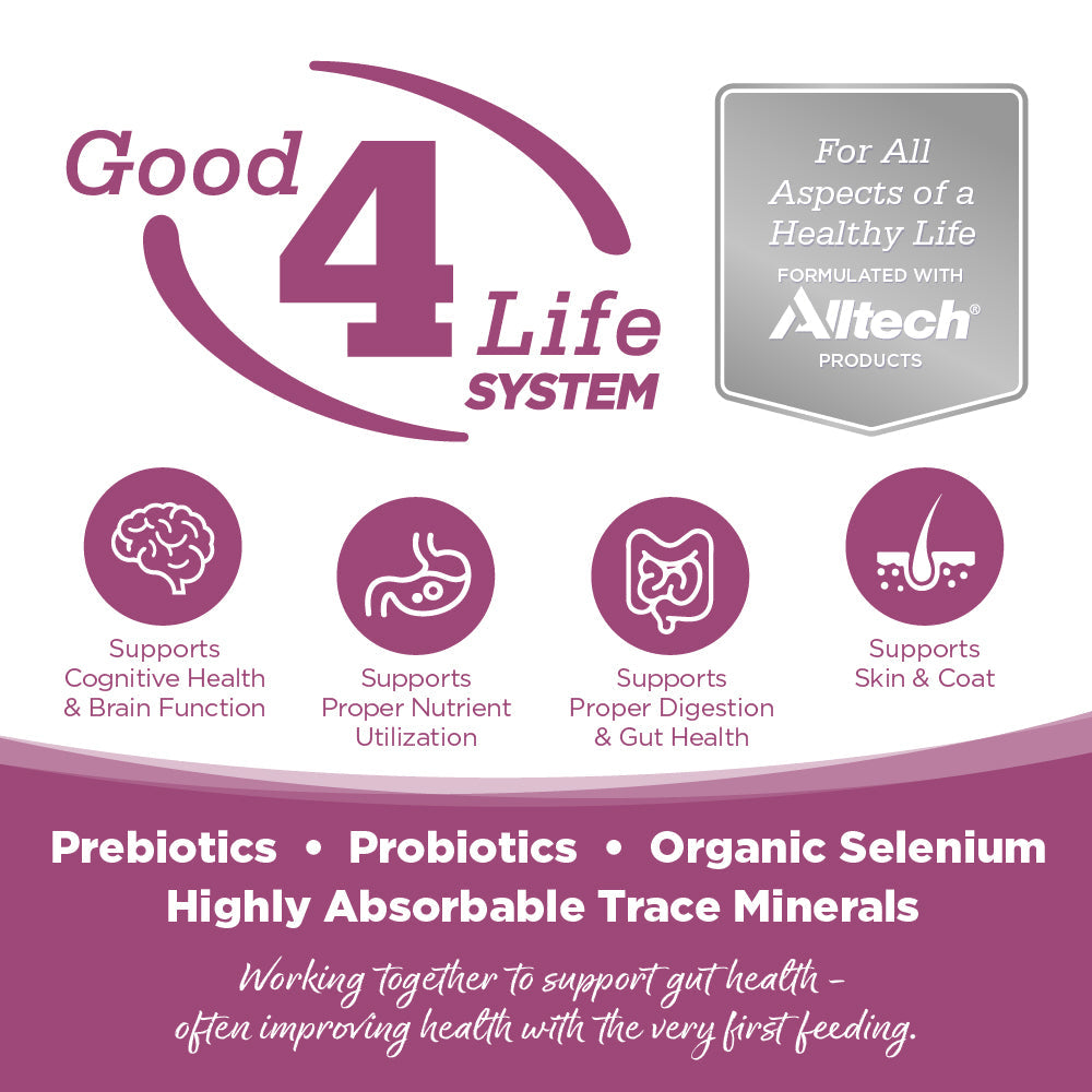 Advertisement for Good 4 Life System with Altech branding and health benefits listed.