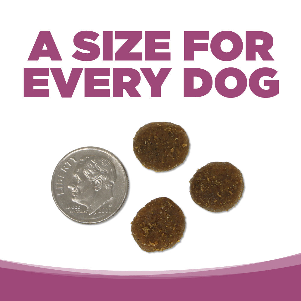 Three dog treats next to a dime on a white background with text 'A Size for Every Dog'.