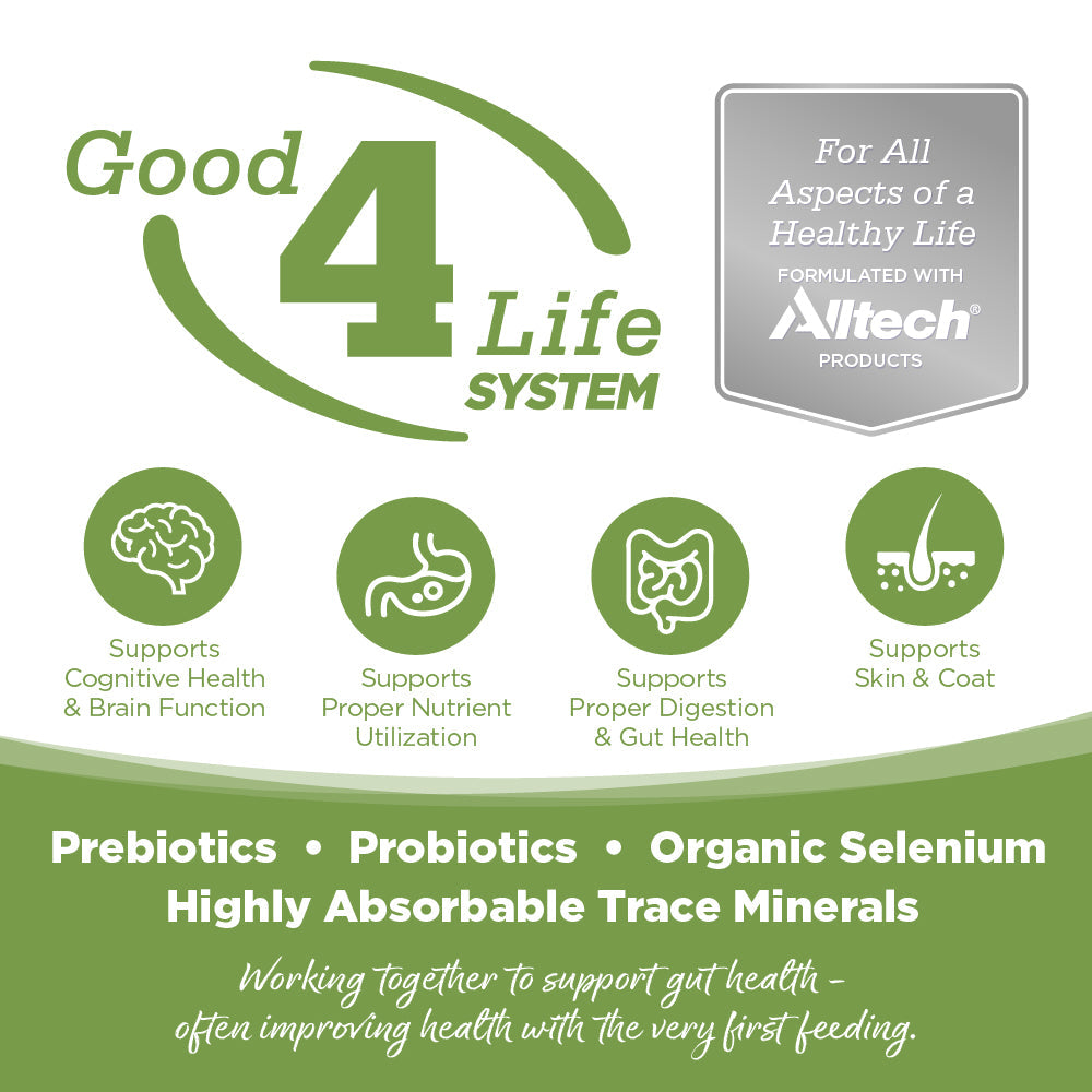 Advertisement for Good 4 Life System with Altech branding and health benefits listed.