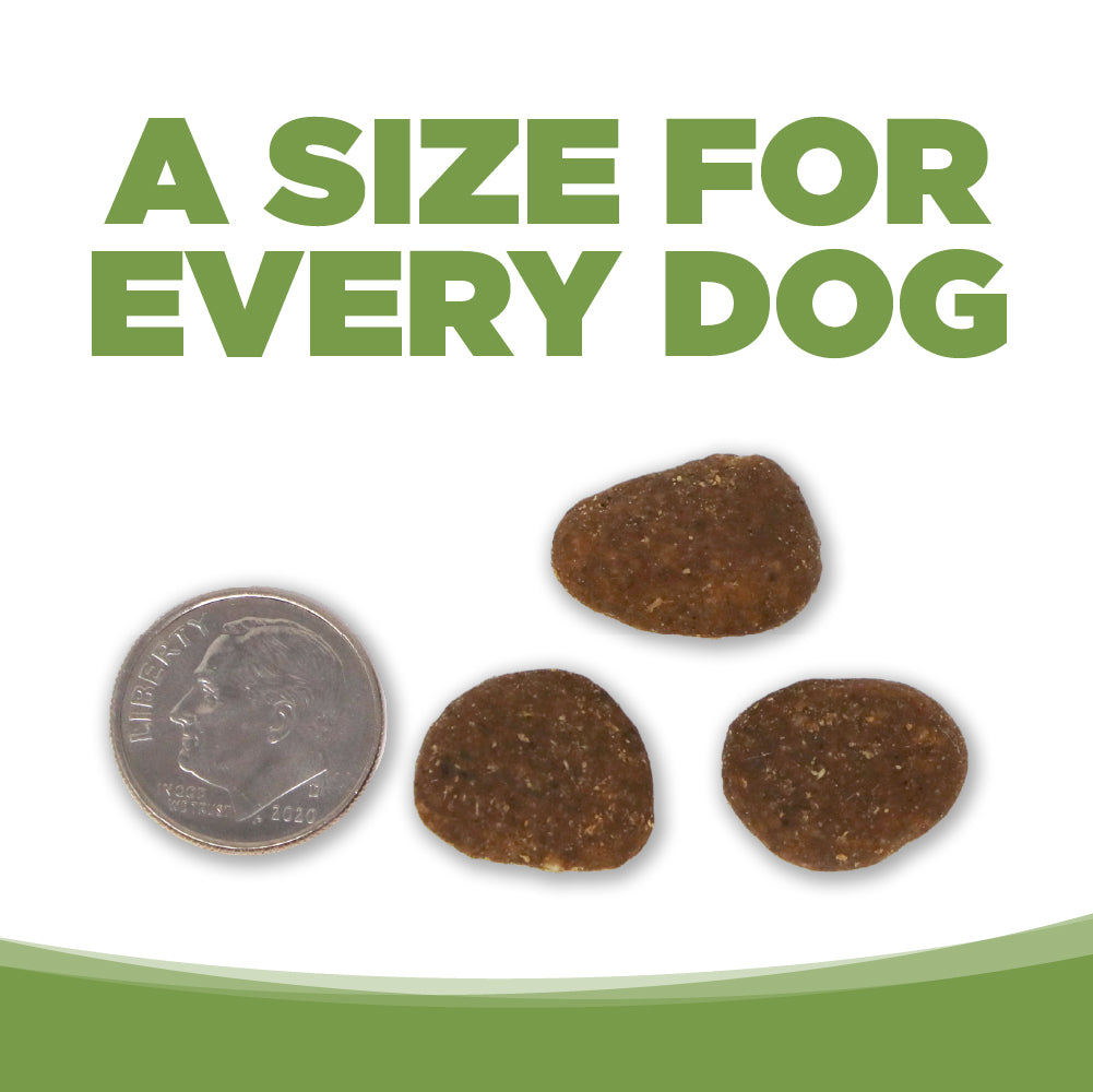 Dog treats next to a dime with text 'A size for every dog' on a white background.