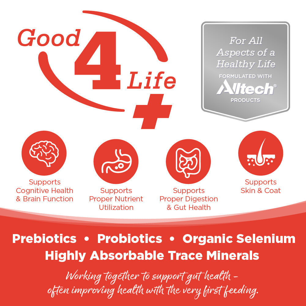 Advertisement for 'Good 4 Life' product with Altech branding and health benefits listed.
