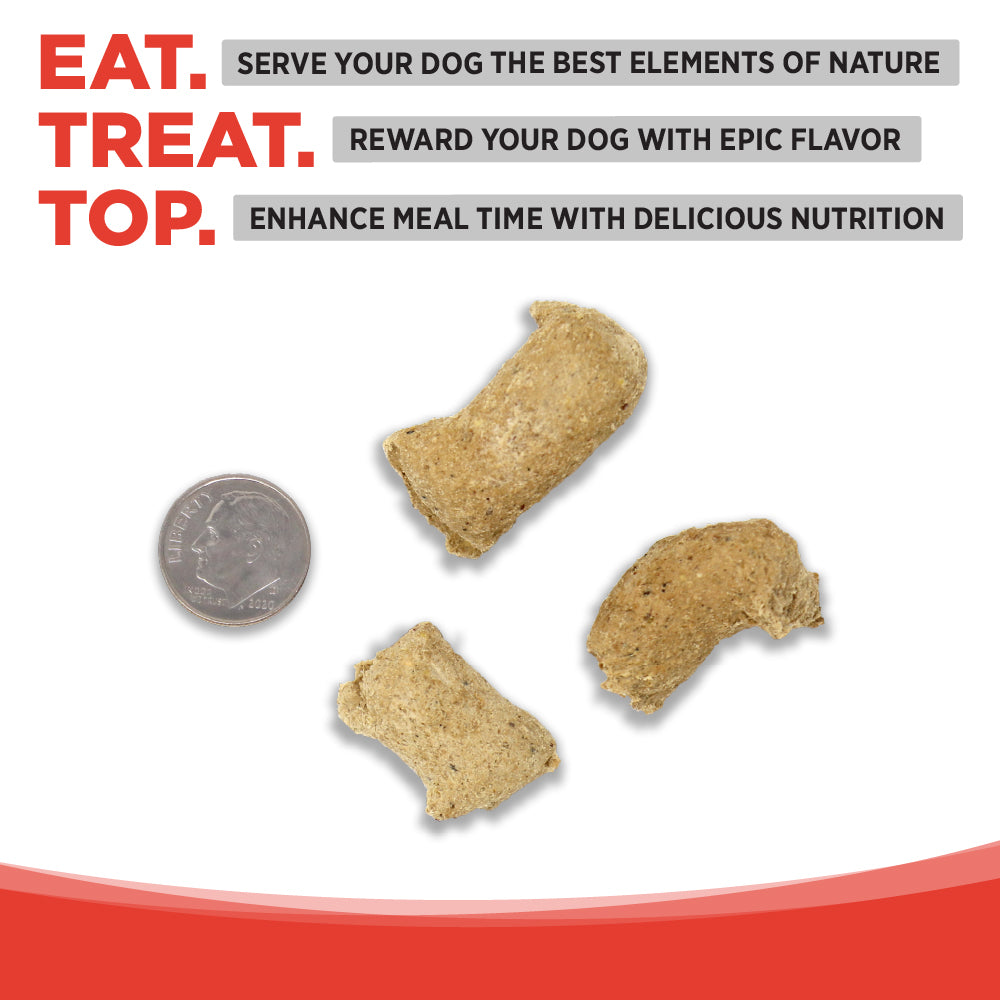 Freeze-dried pieces next to a dime for size comparison.