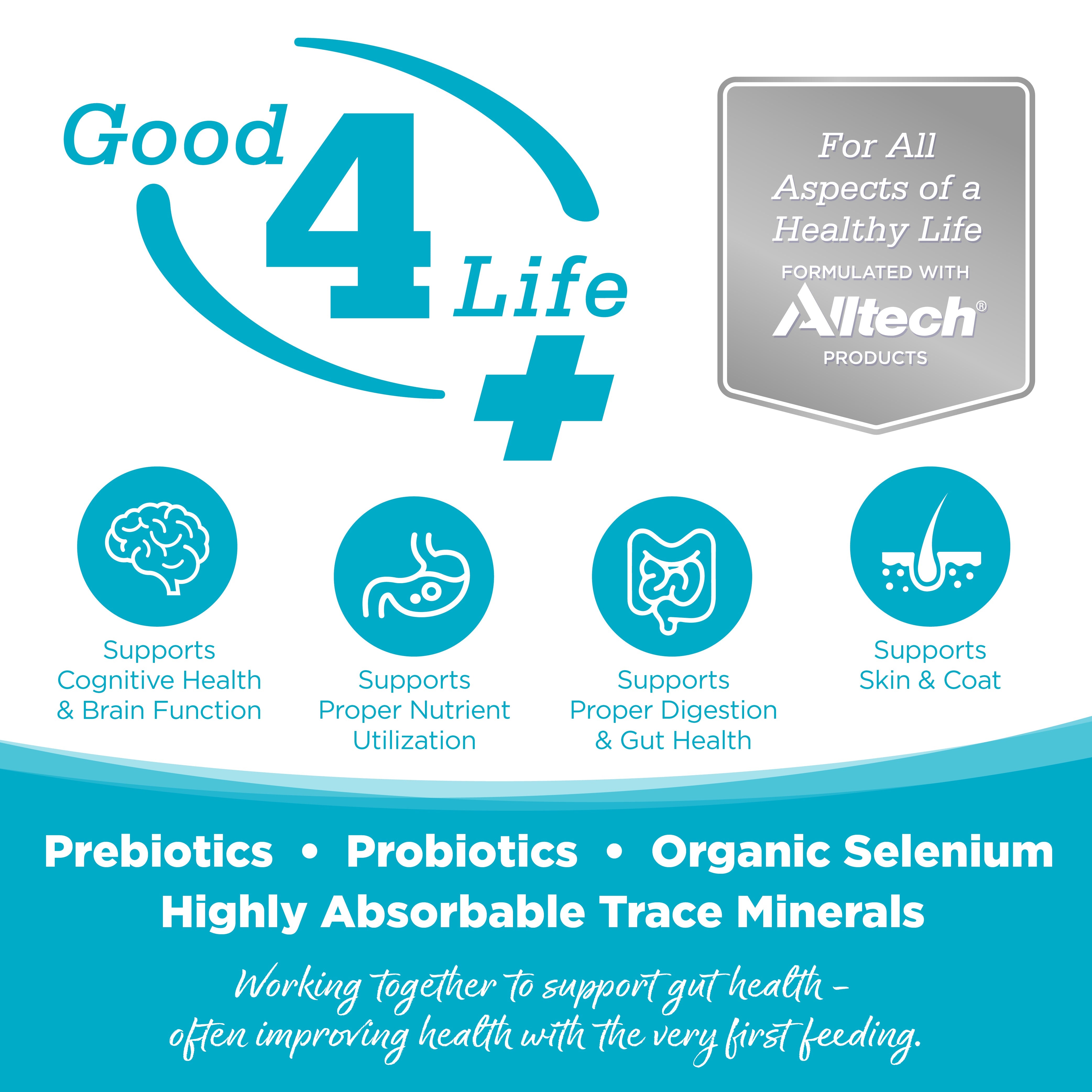 Advertisement for 'Good 4 Life+' supplement with icons and text about health benefits.