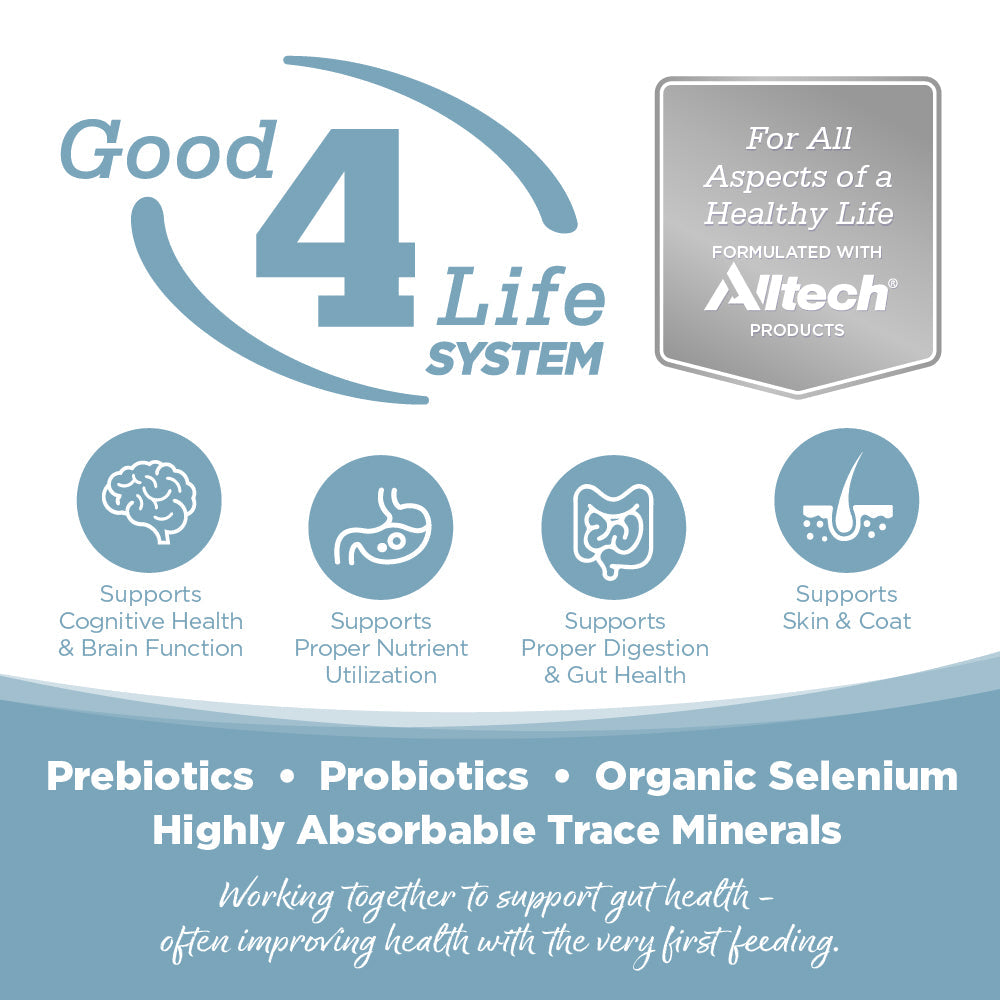 Advertisement for Good 4 Life System with Altech branding and health benefits listed.