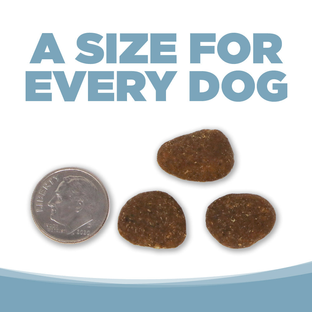 Dog food kibble pieces next to a dime on a white background with text 'A Size for Every Dog'.