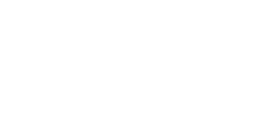 NutriSource Element Series Logo