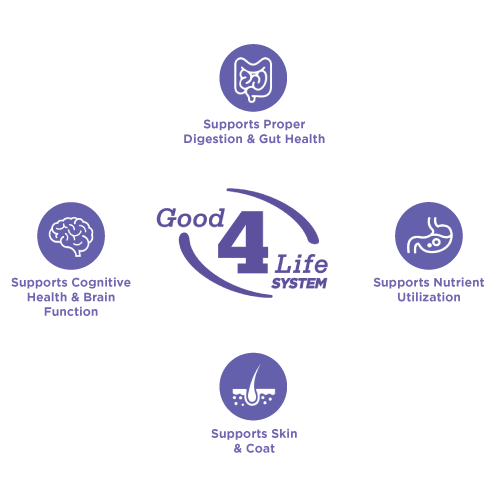 Diagram of Good 4 Life System® with icons and text