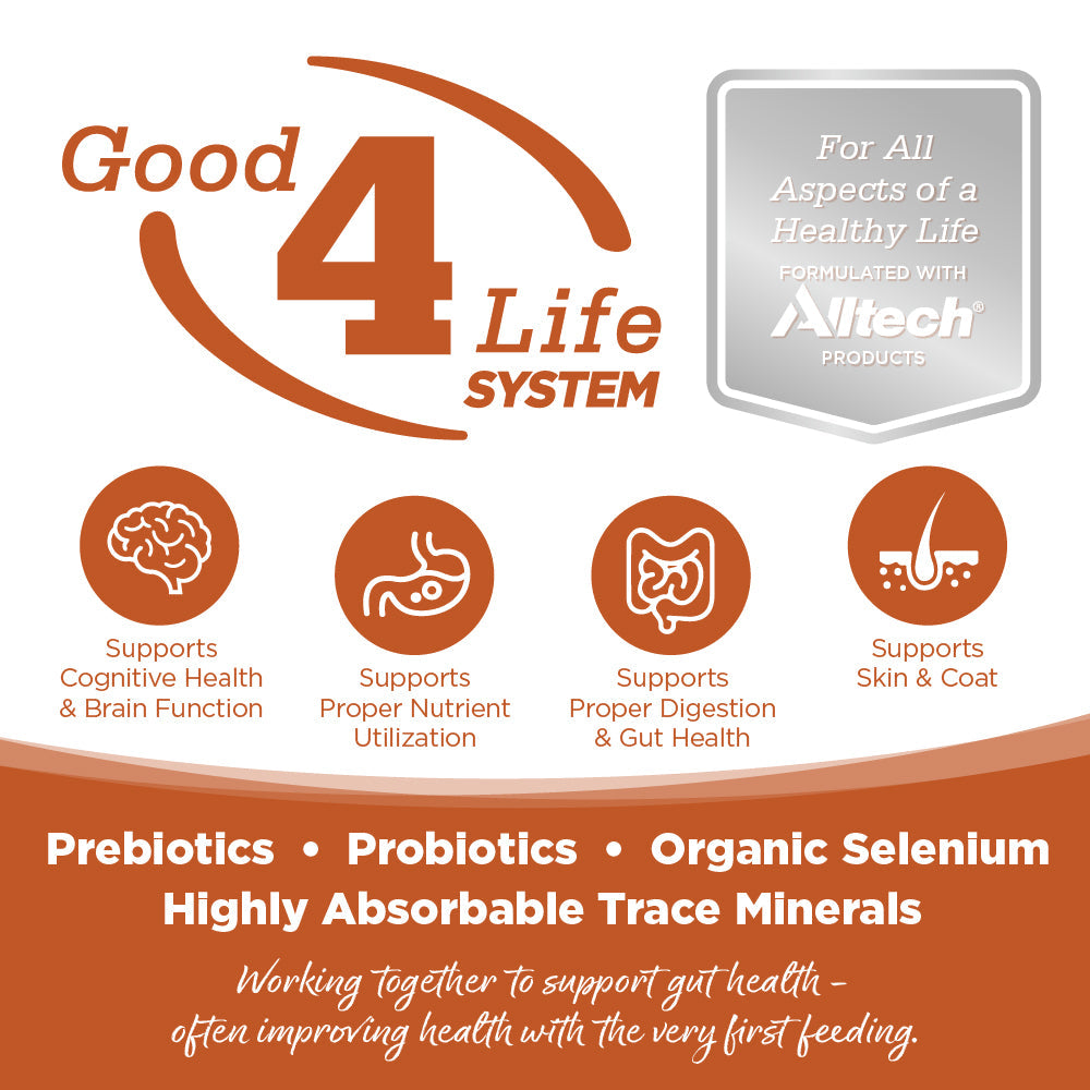 Advertisement for Good 4 Life System with Altech branding and health benefits listed.