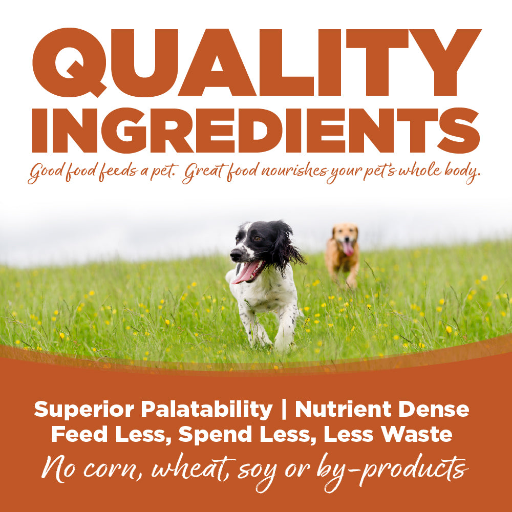 Quality Ingredients - Good food feeds a pet. Great food nourishes your pet's whole body.