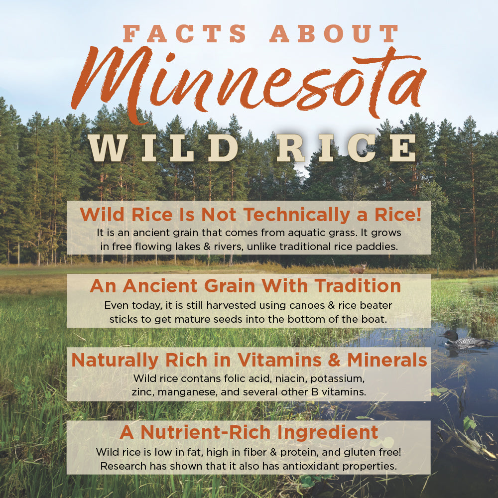 Informational graphic about Minnesota wild rice with text and a scenic background.
