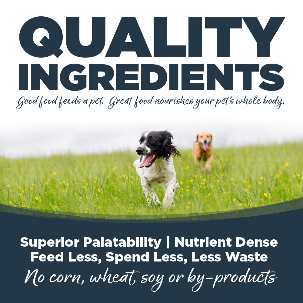 BUY Northern Feast Wet (Canned) Dog Food | NutriSource Pet Foods