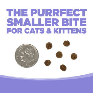 THE PURRFECT SMALLER BITE FOR CATS & KITTENS