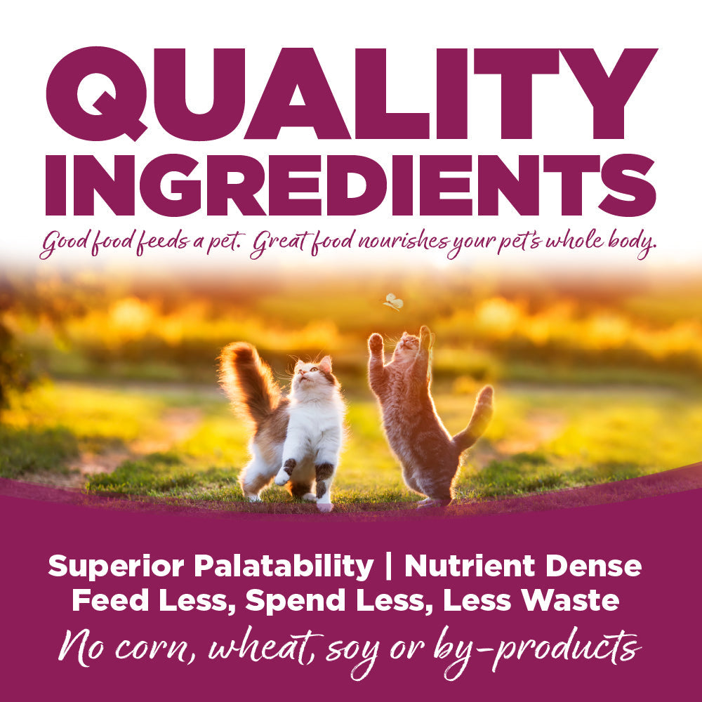 Quality Ingredients - Good food feeds a pet. Great food nourishes your pet's whole body.