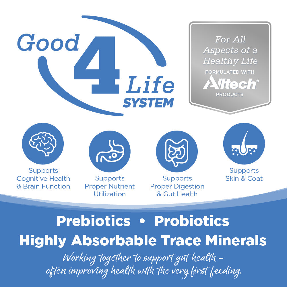 Advertisement for Good 4 Life System with Altech branding and health benefits listed.