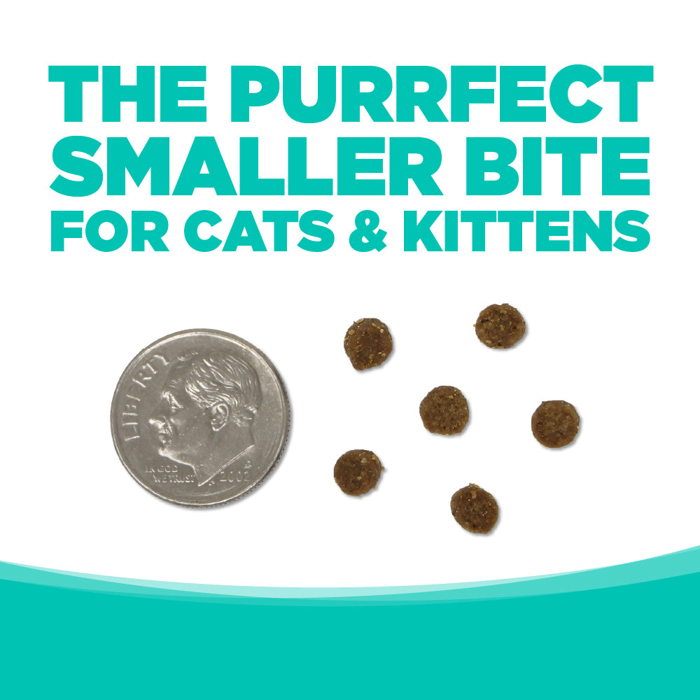 Small cat treats next to a coin on a white background with teal text.