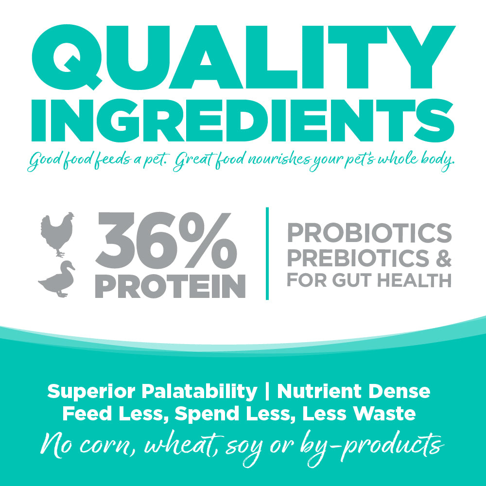 Product label highlighting quality ingredients with protein content and health benefits on a teal background.