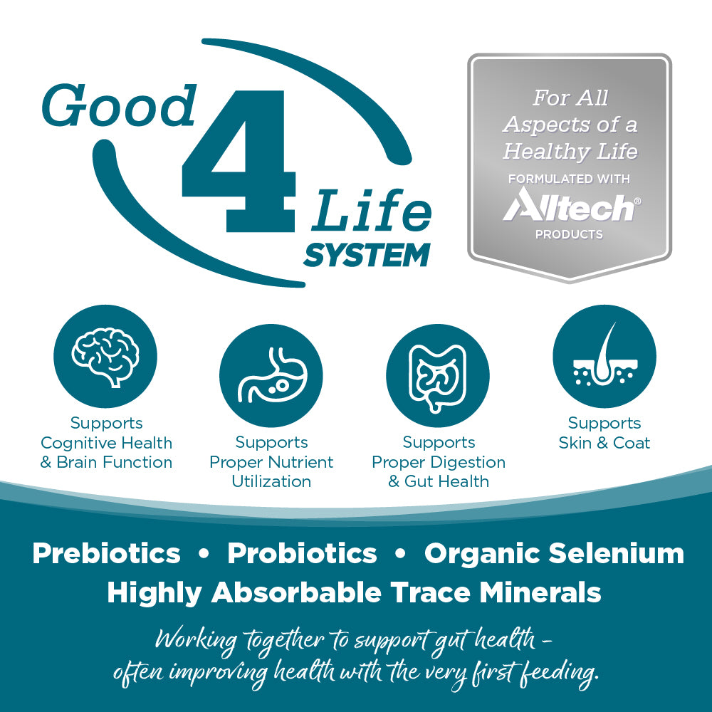 Good4Life System